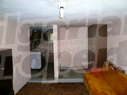Gallery Picture 20
