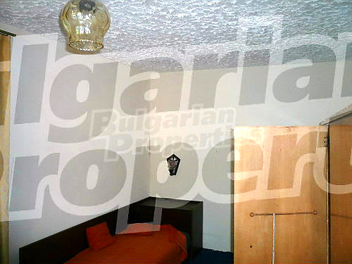 Gallery Picture 26