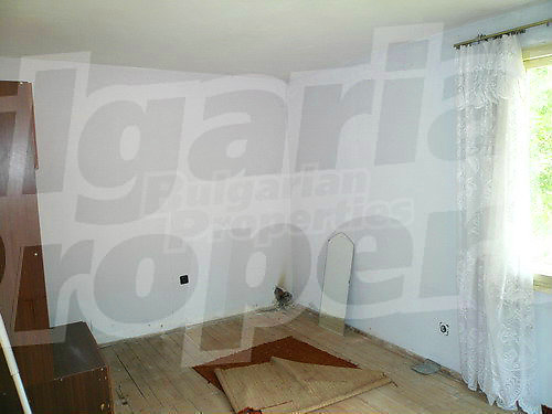 Gallery Picture 28