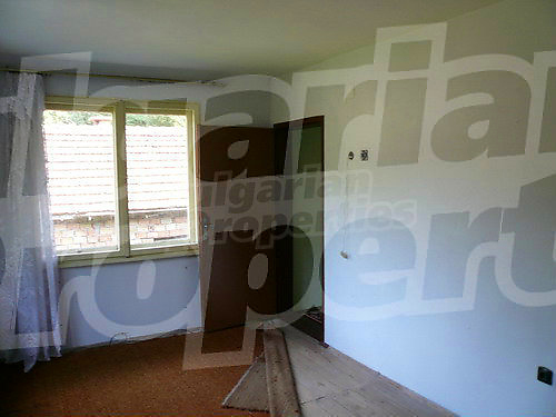 Gallery Picture 29