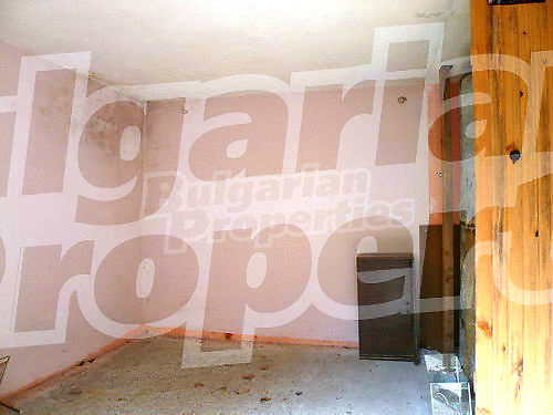 Gallery Picture 33