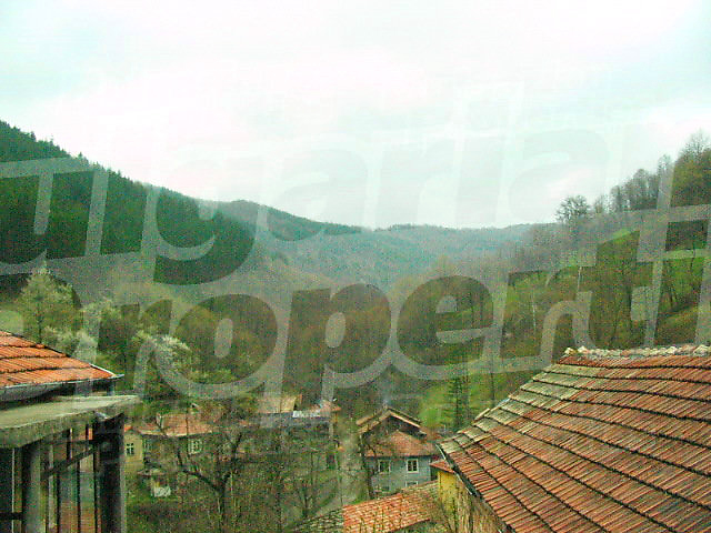 Gallery Picture 6