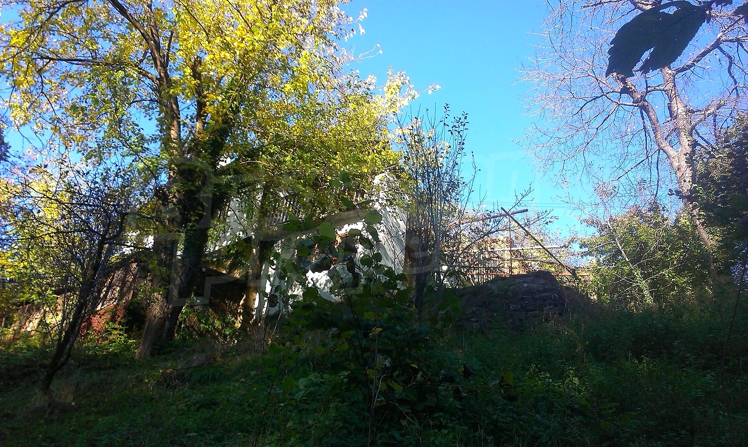Gallery Picture 15