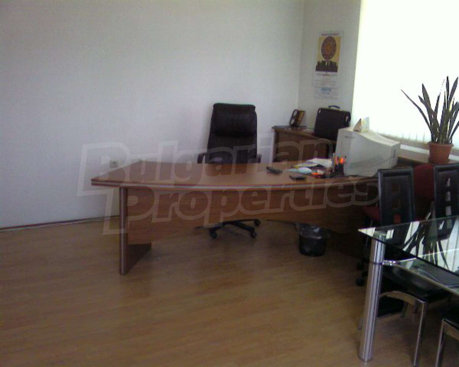 Gallery Picture 16