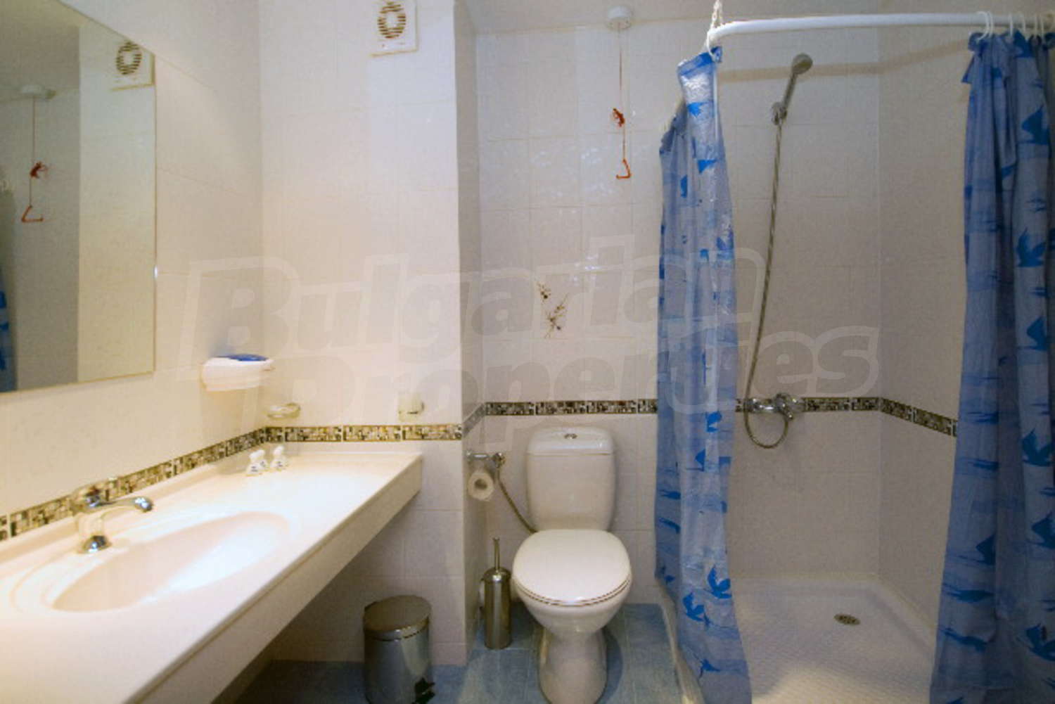 Gallery Picture 32