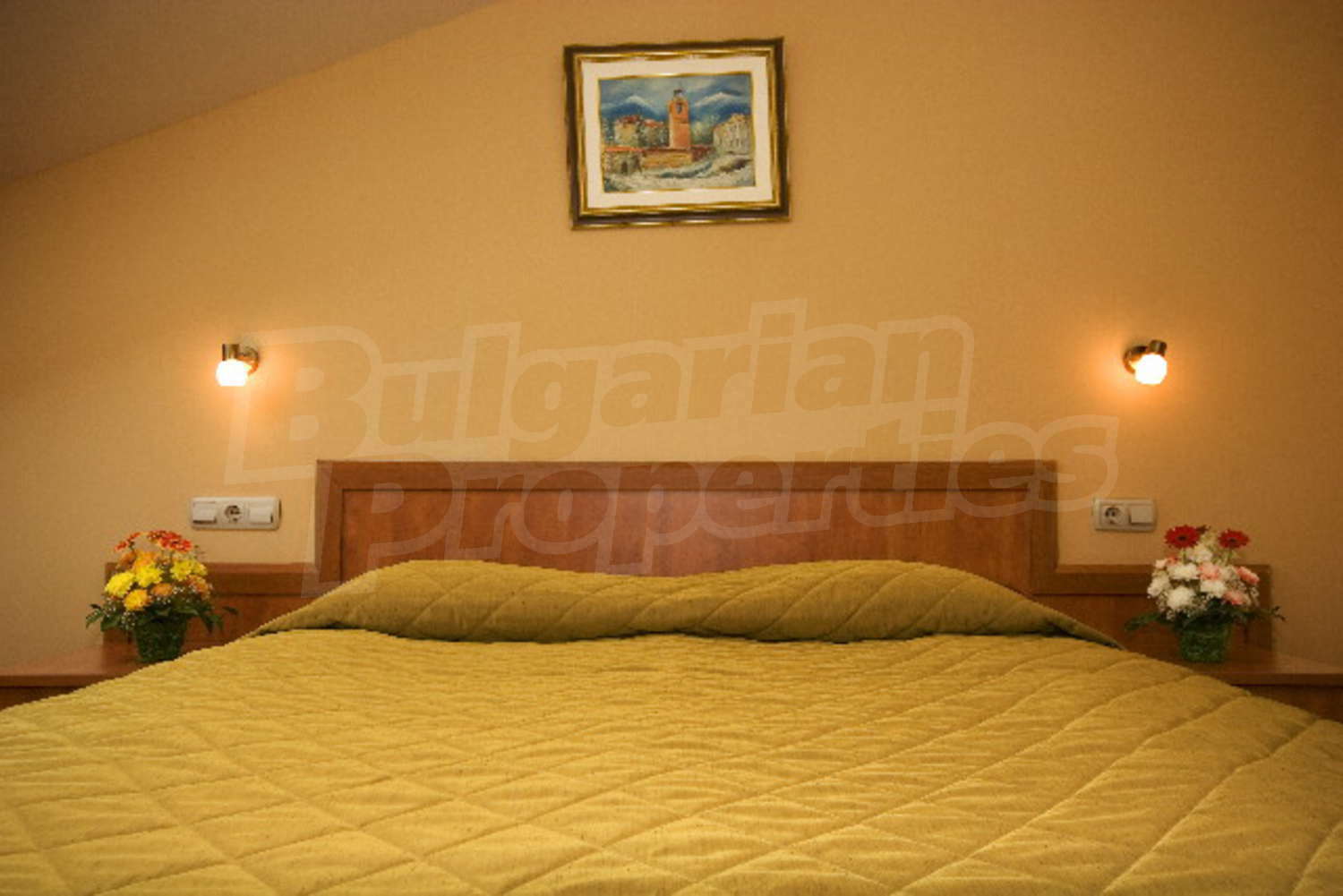 Gallery Picture 36