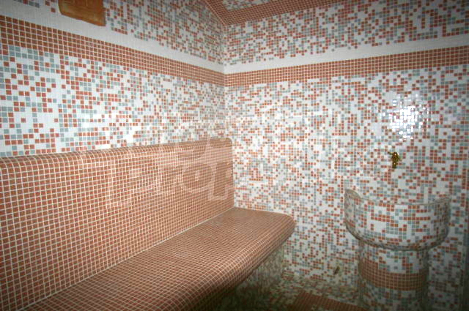 Gallery Picture 17