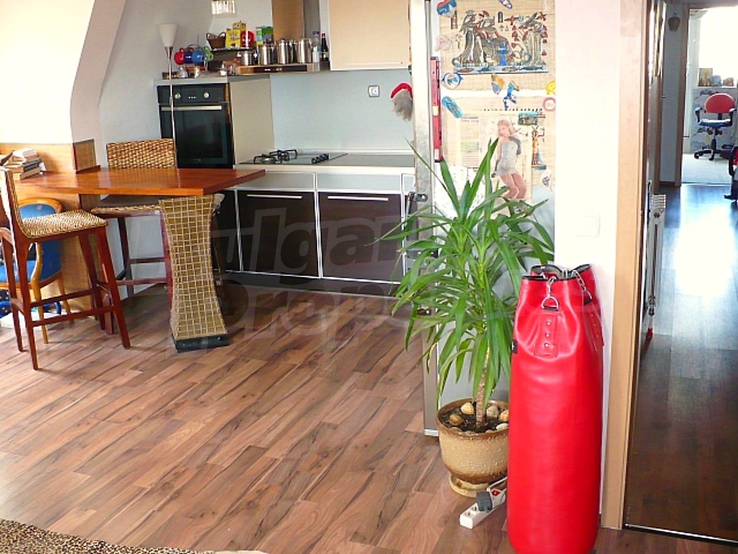 Gallery Picture 15