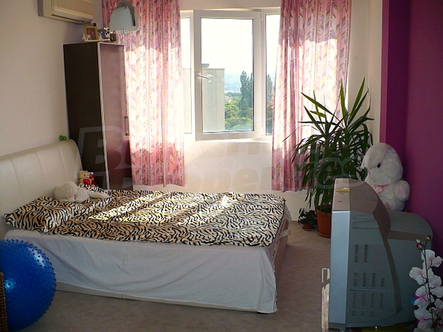 Gallery Picture 18