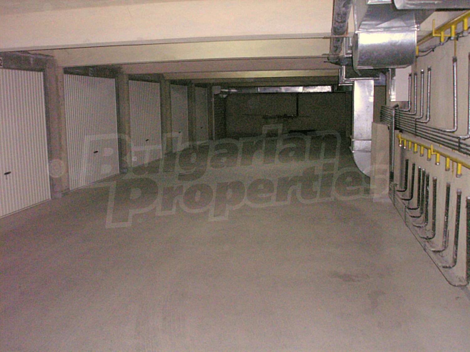Gallery Picture 33
