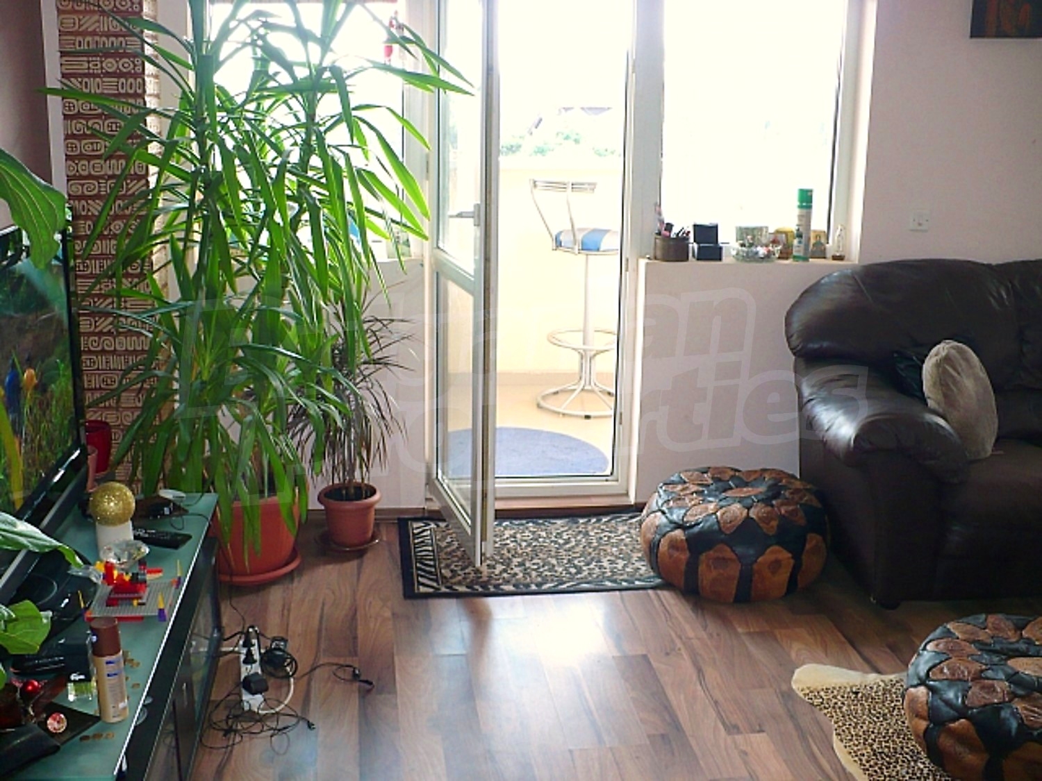 Gallery Picture 6