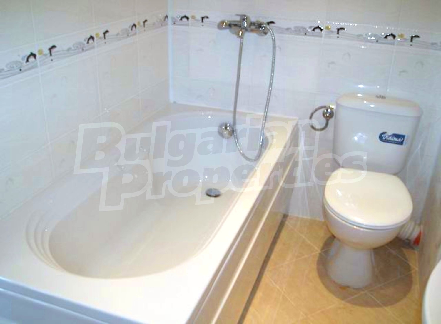 Gallery Picture 11