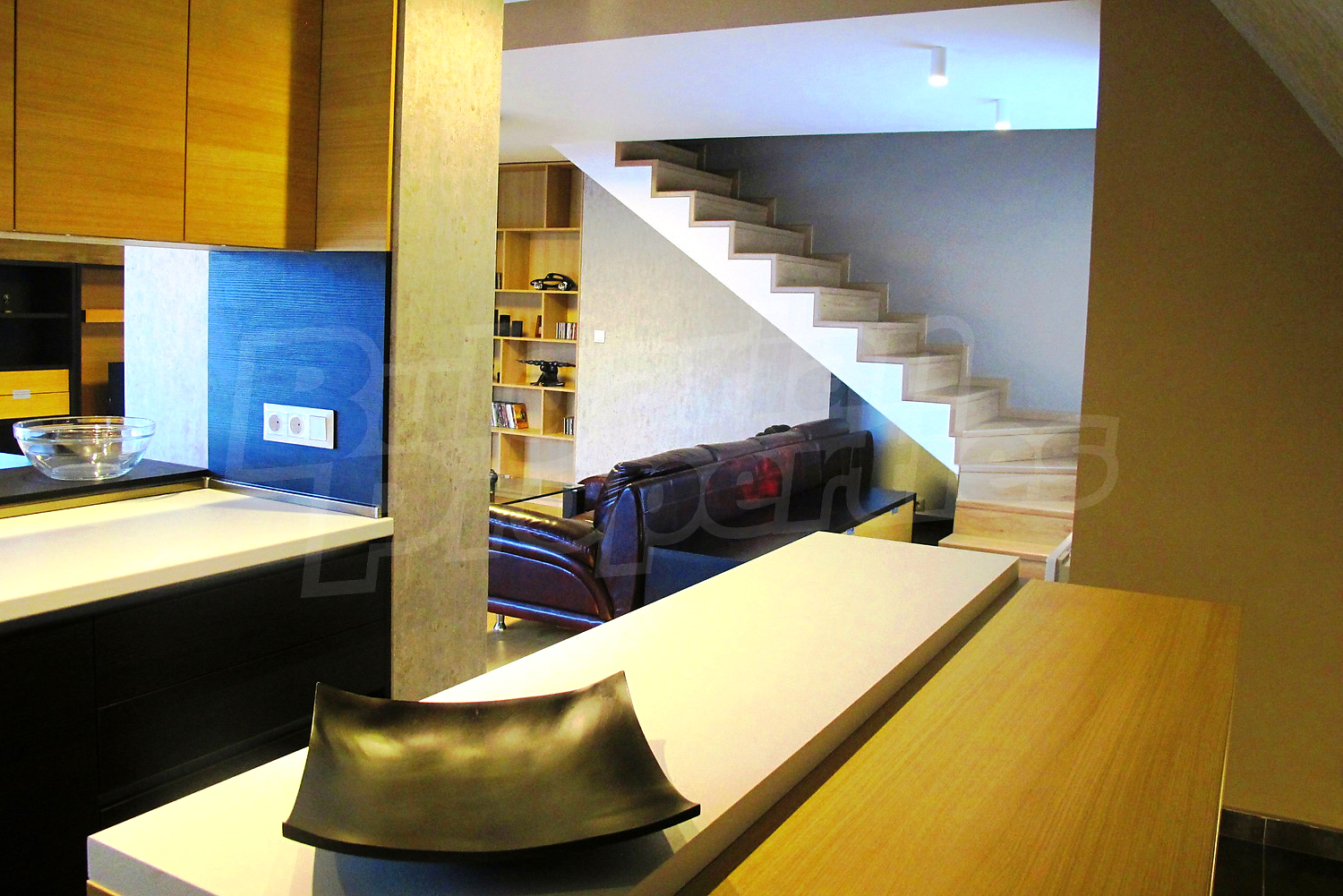 Gallery Picture 12