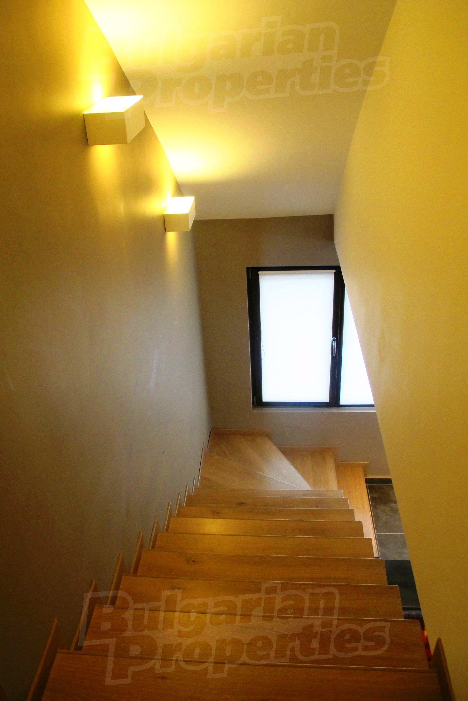 Gallery Picture 16