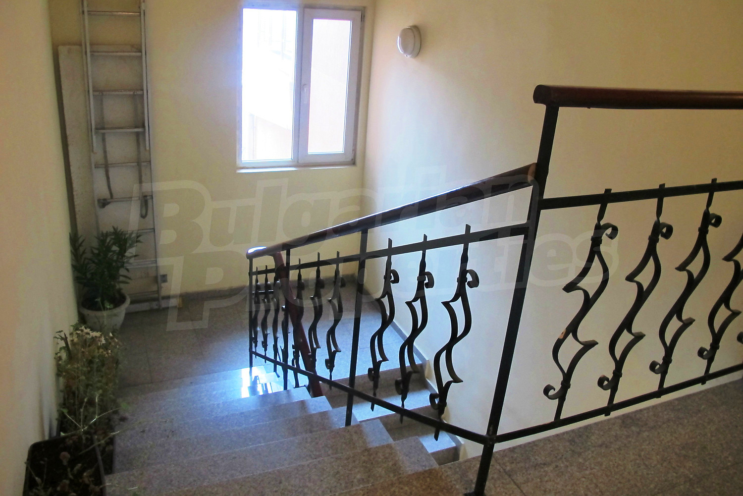 Gallery Picture 36