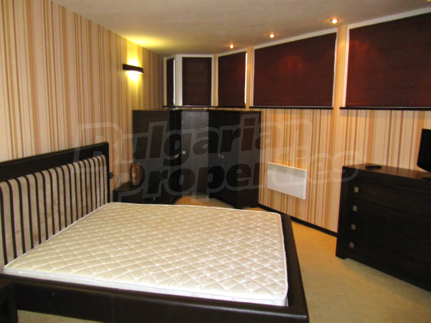 Gallery Picture 19