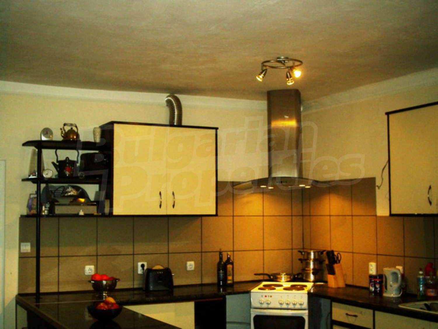 Gallery Picture 12