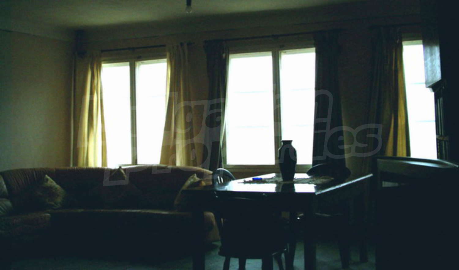 Gallery Picture 15