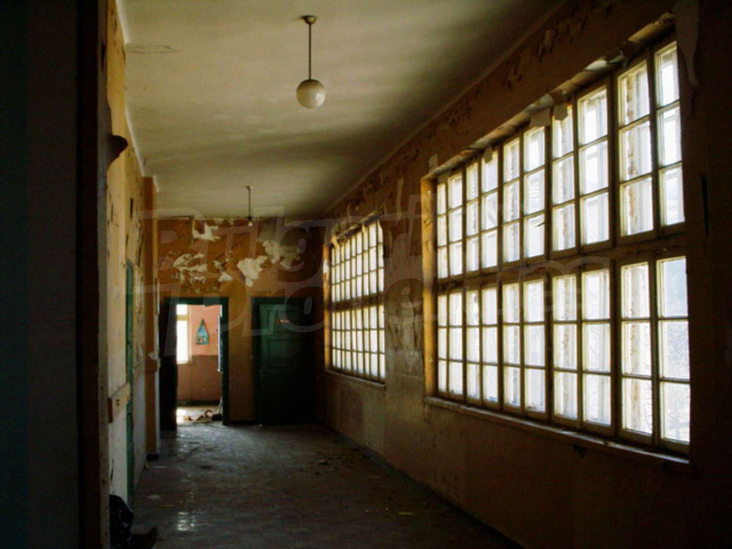 Gallery Picture 18