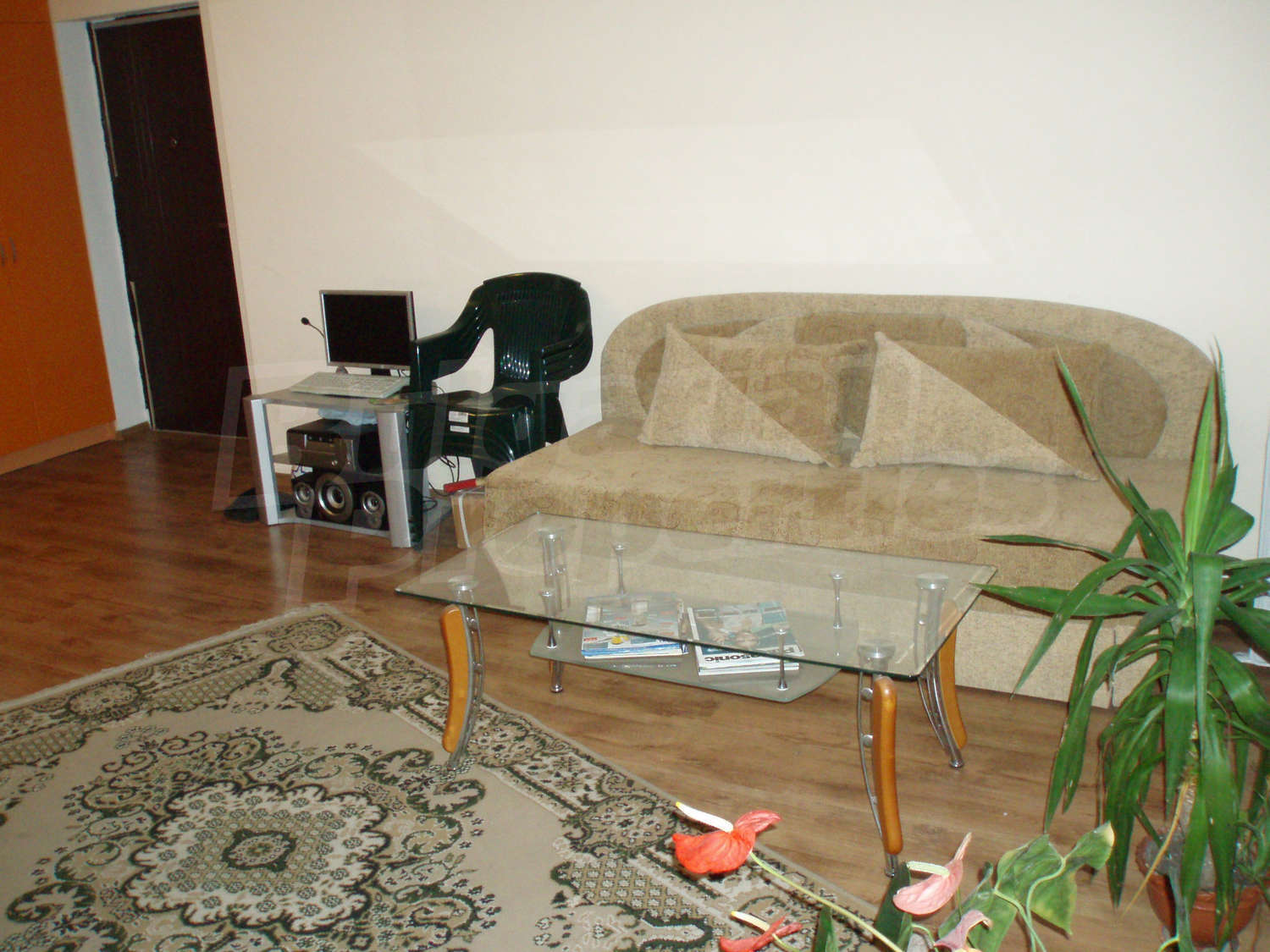 Gallery Picture 7