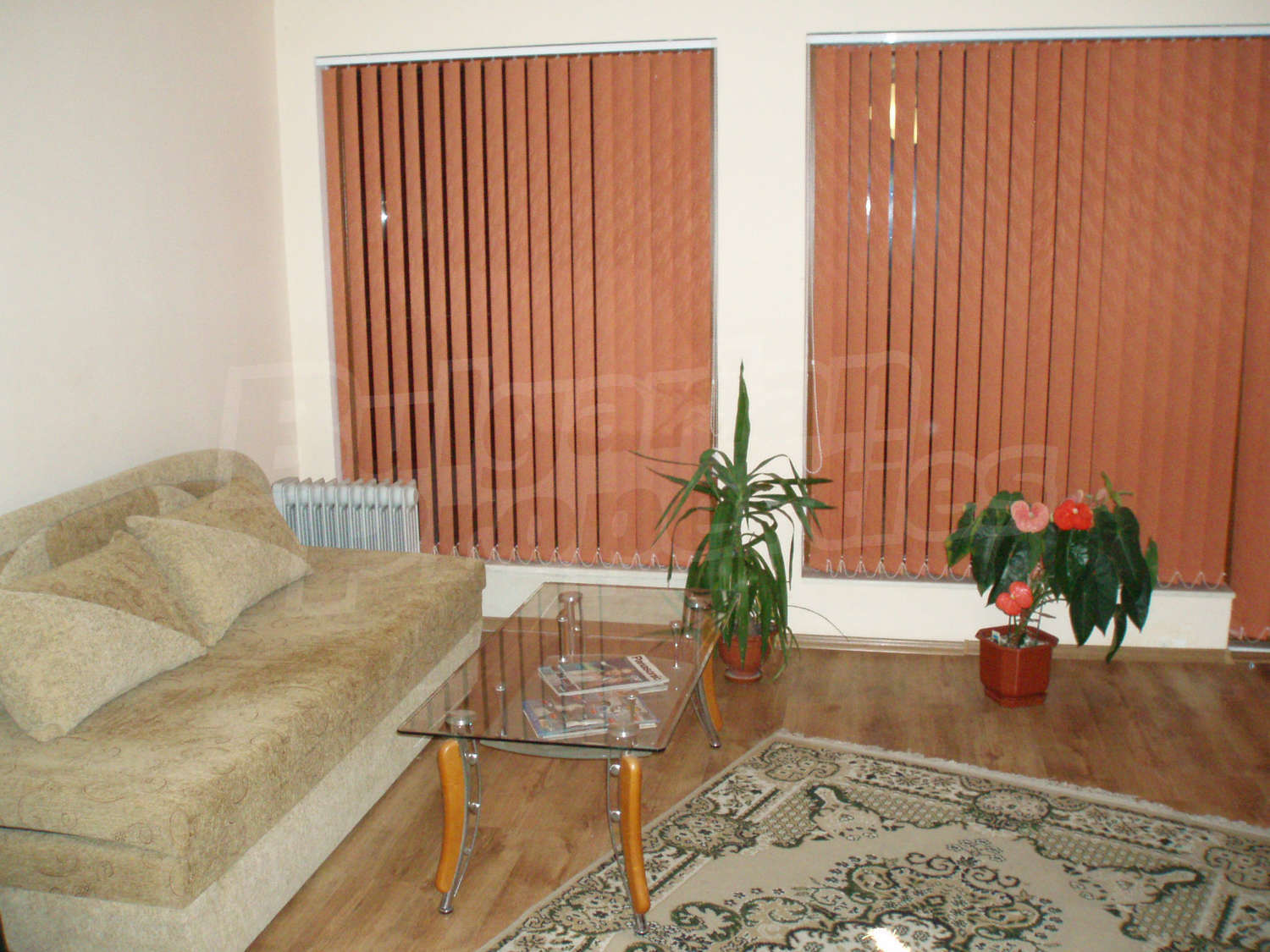Gallery Picture 8