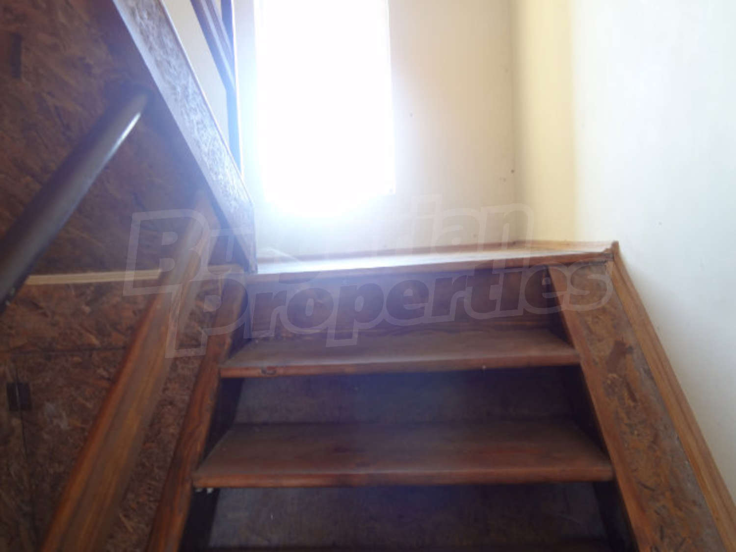 Gallery Picture 31