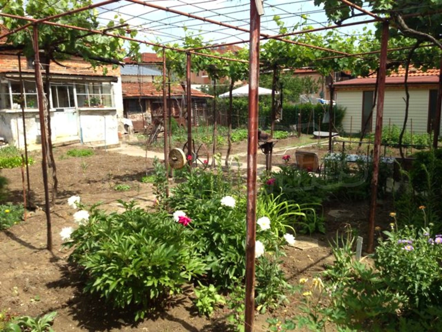 Gallery Picture 12