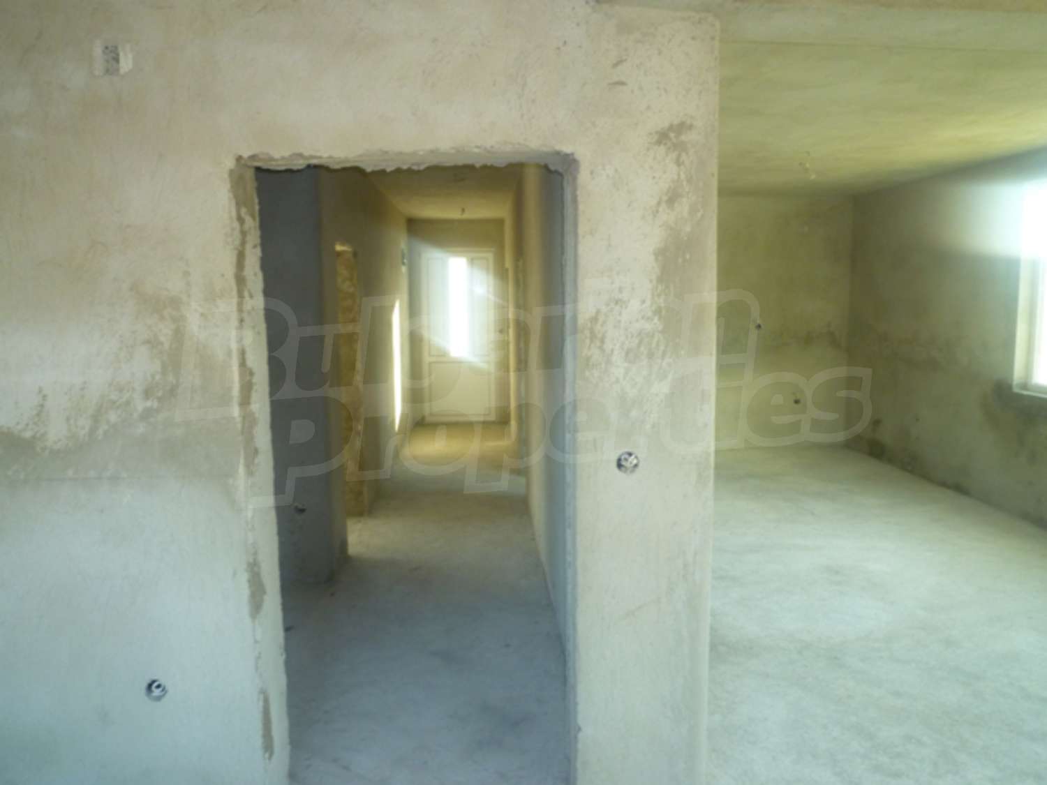 Gallery Picture 10