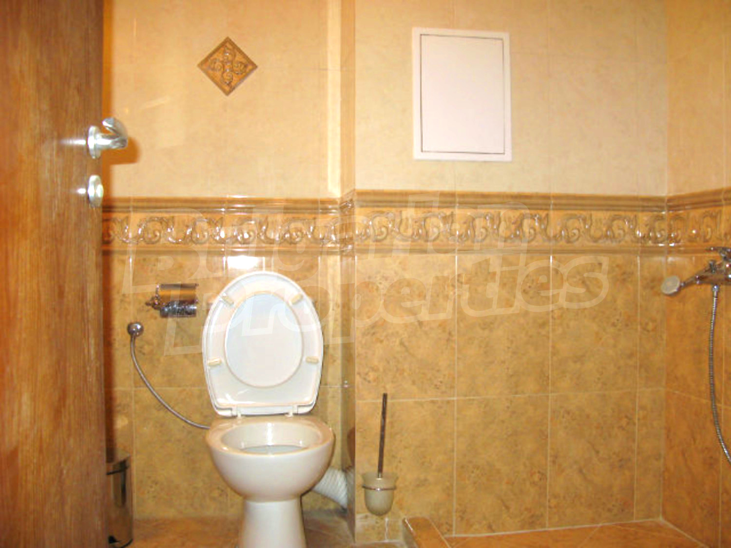 Gallery Picture 12