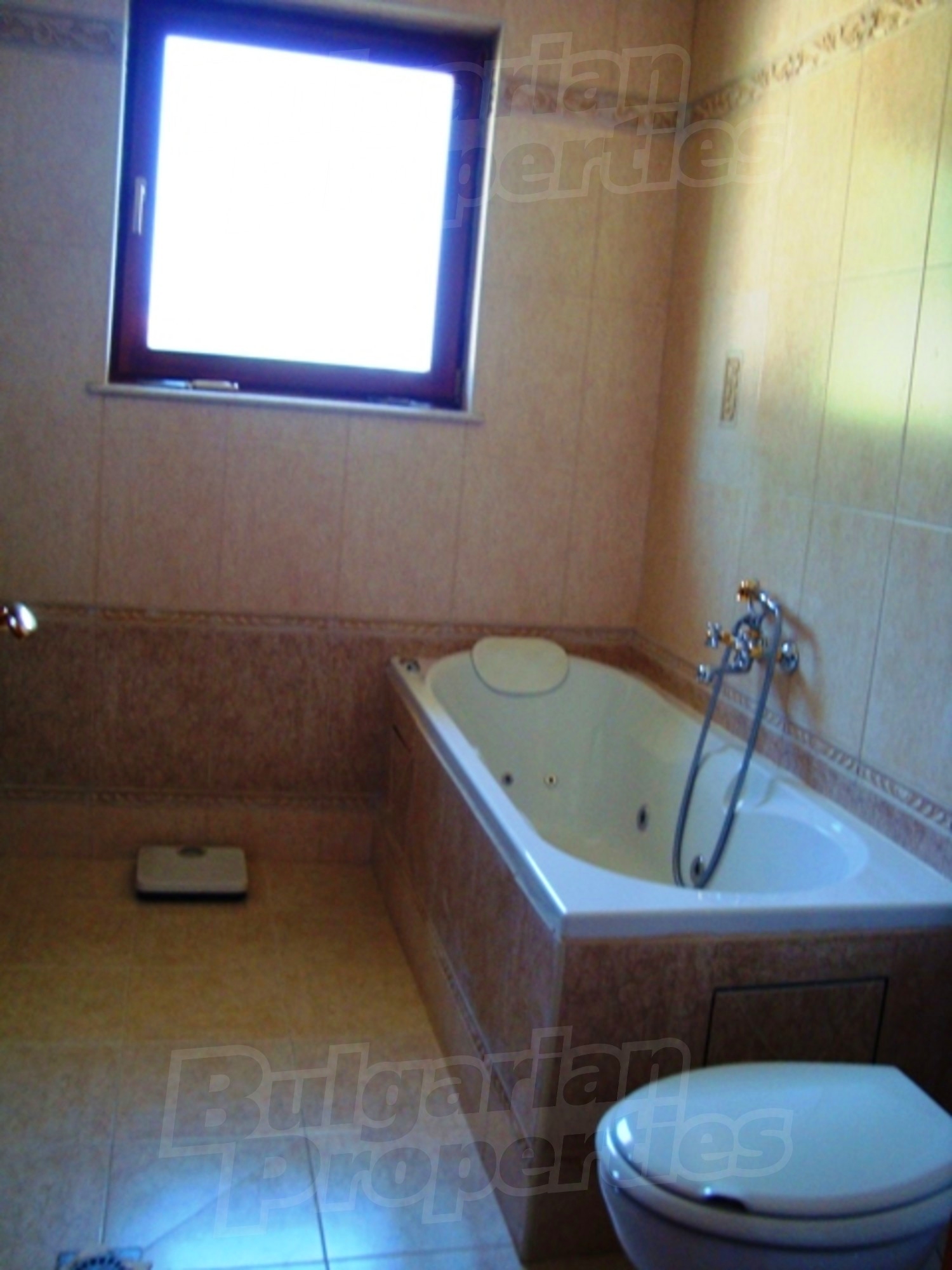 Gallery Picture 20