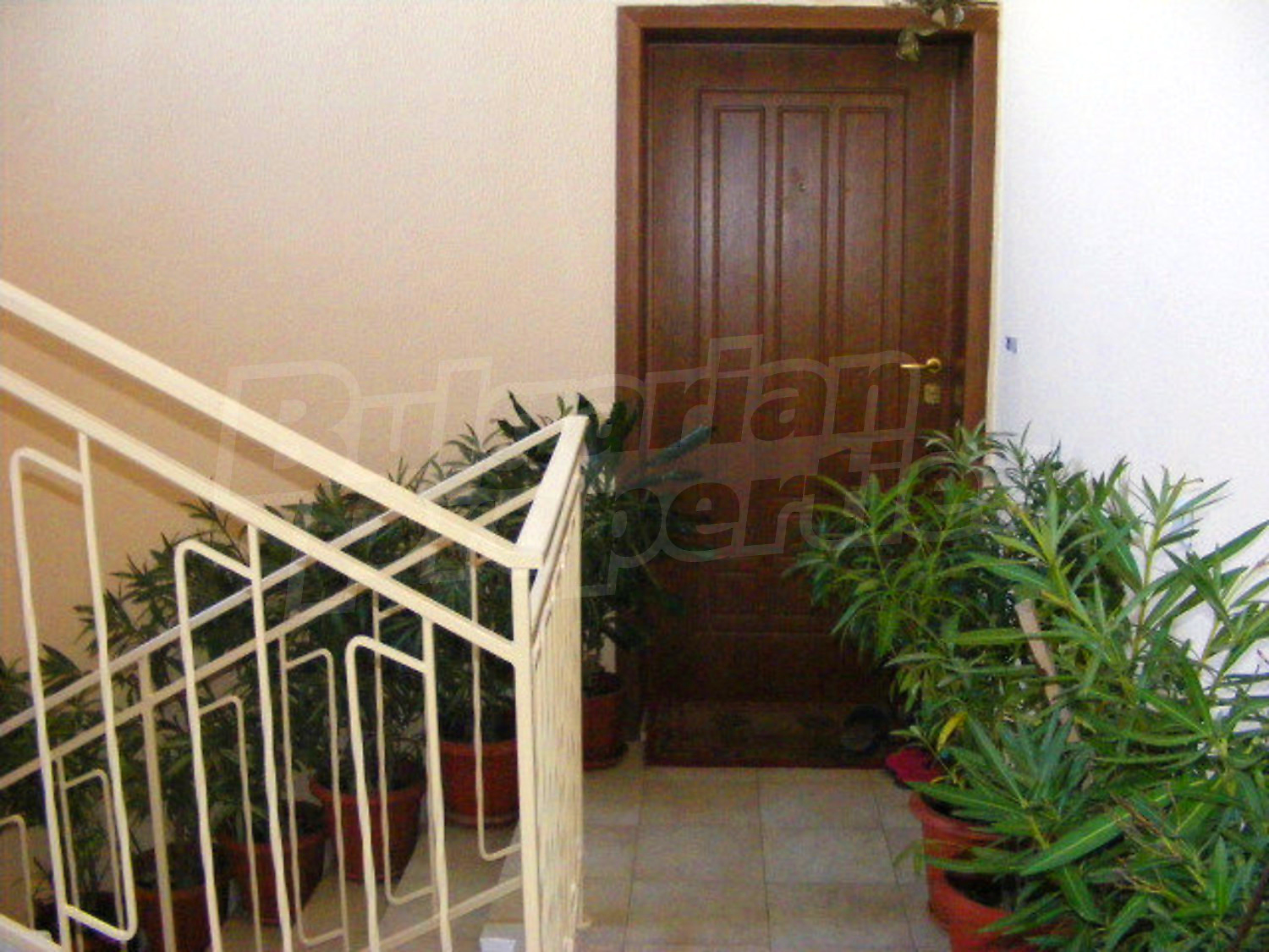 Gallery Picture 18