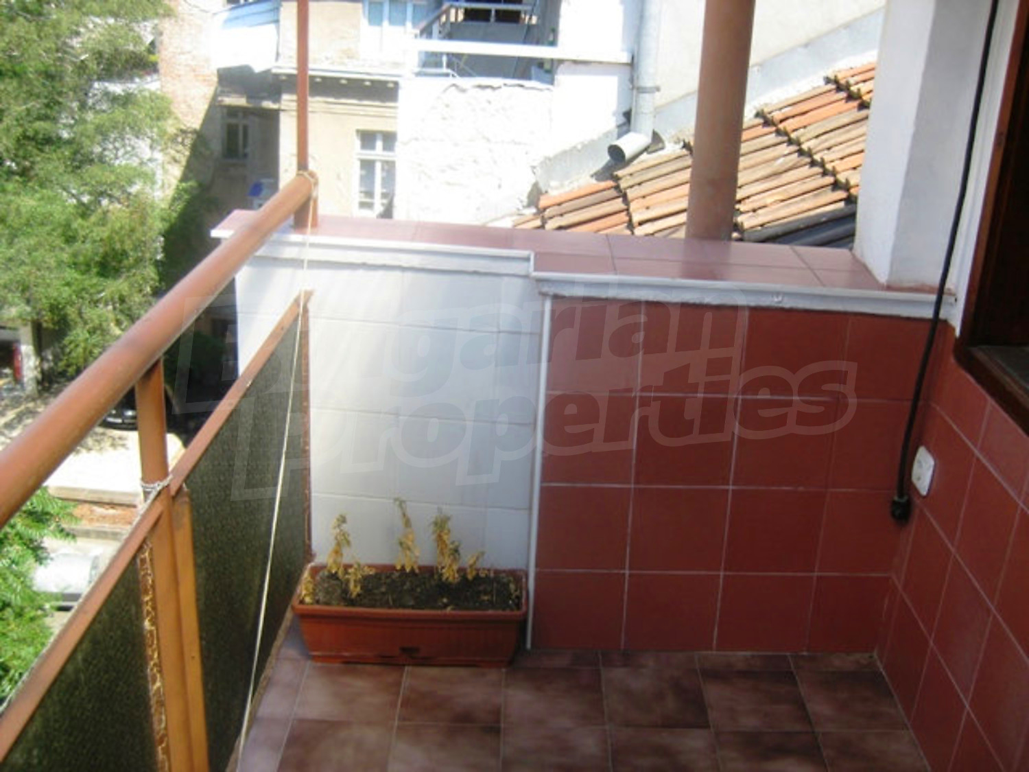 Gallery Picture 13