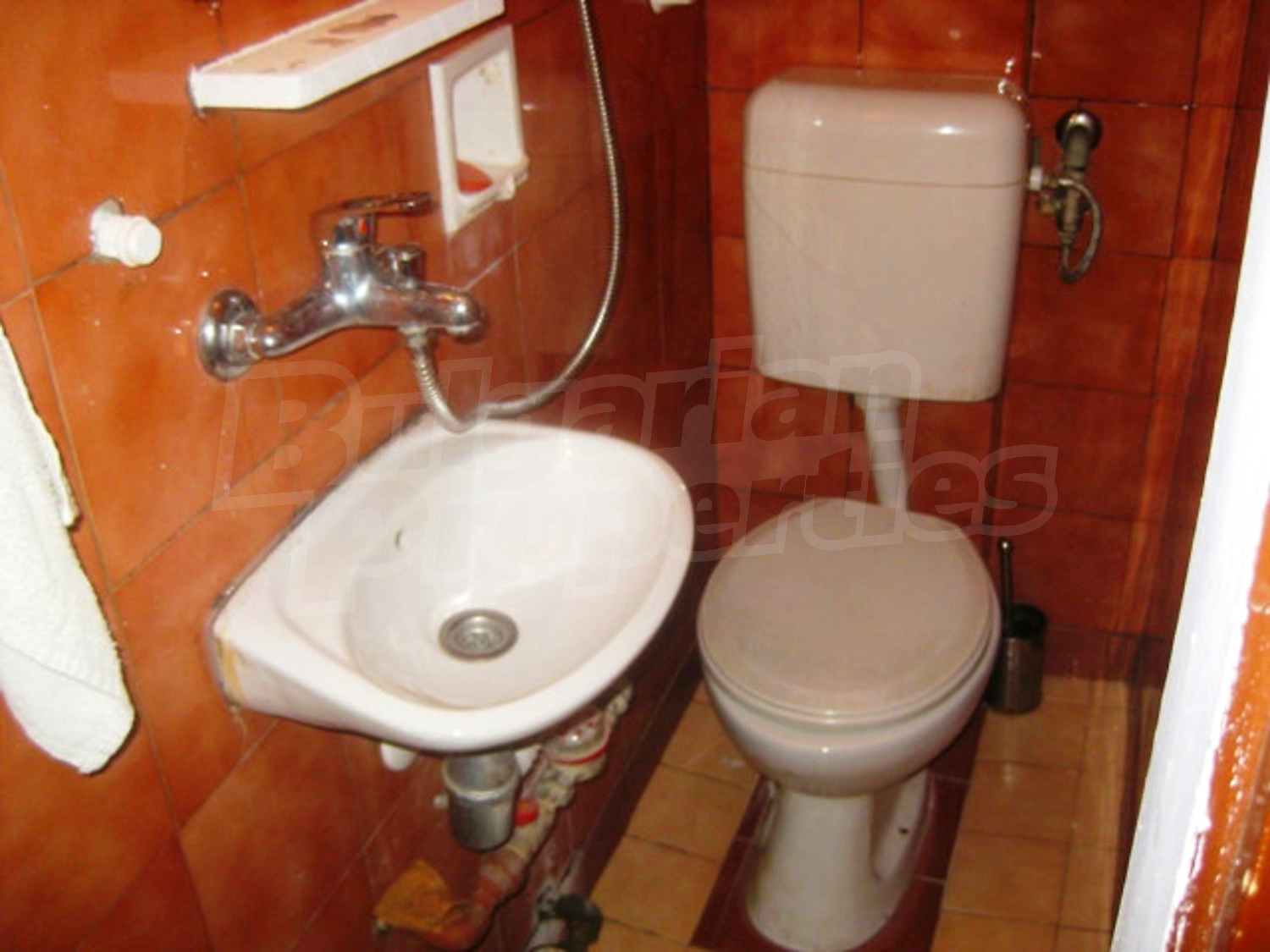 Gallery Picture 8