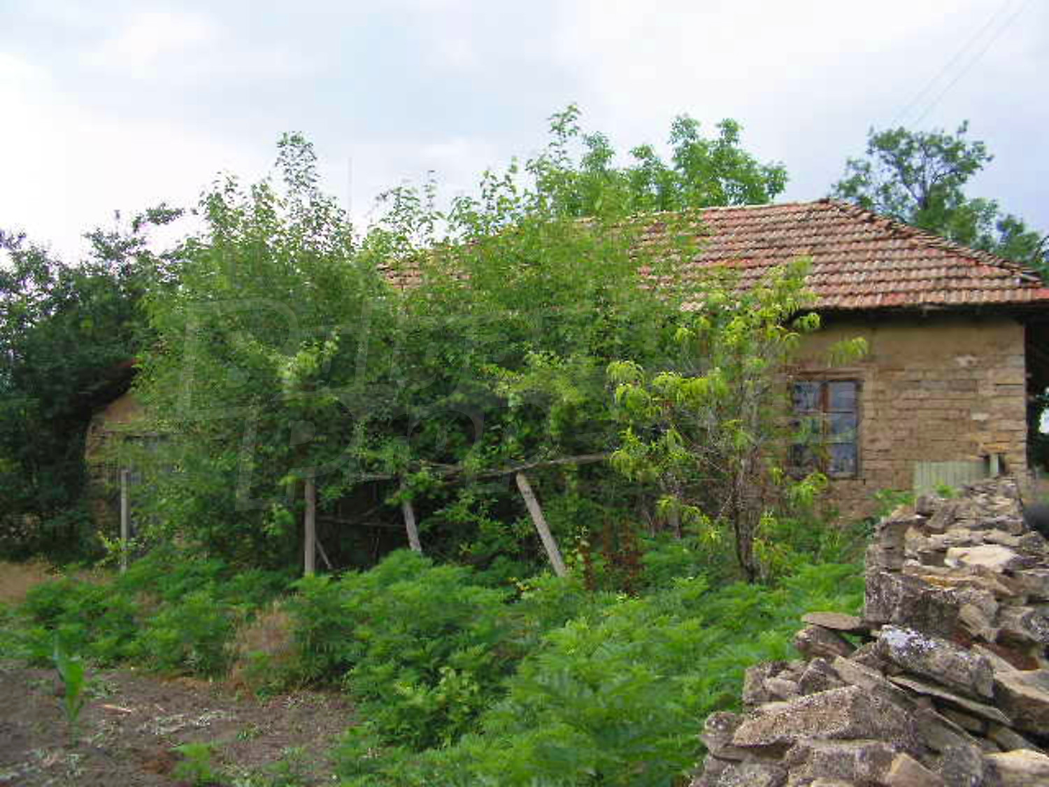 Gallery Picture 11
