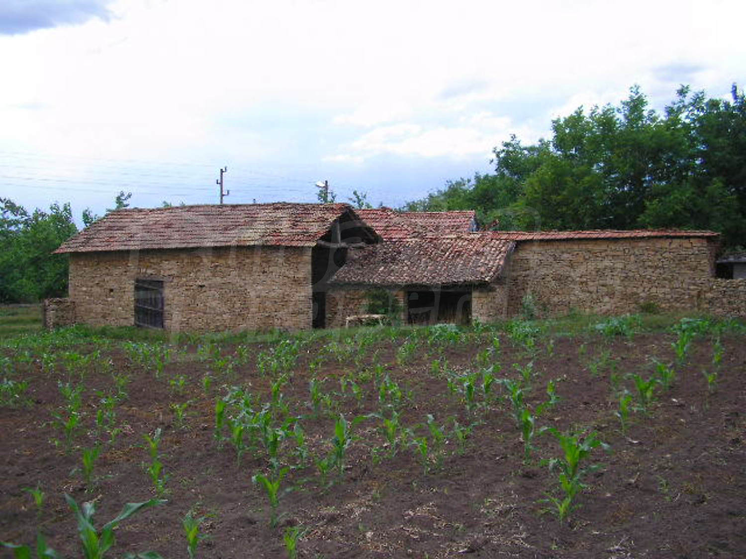 Gallery Picture 12