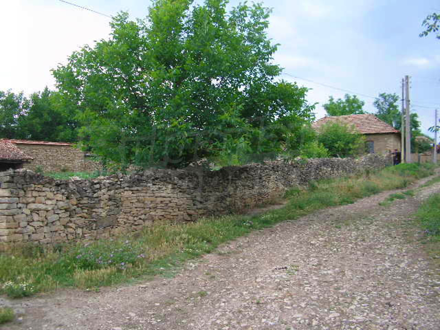Gallery Picture 13
