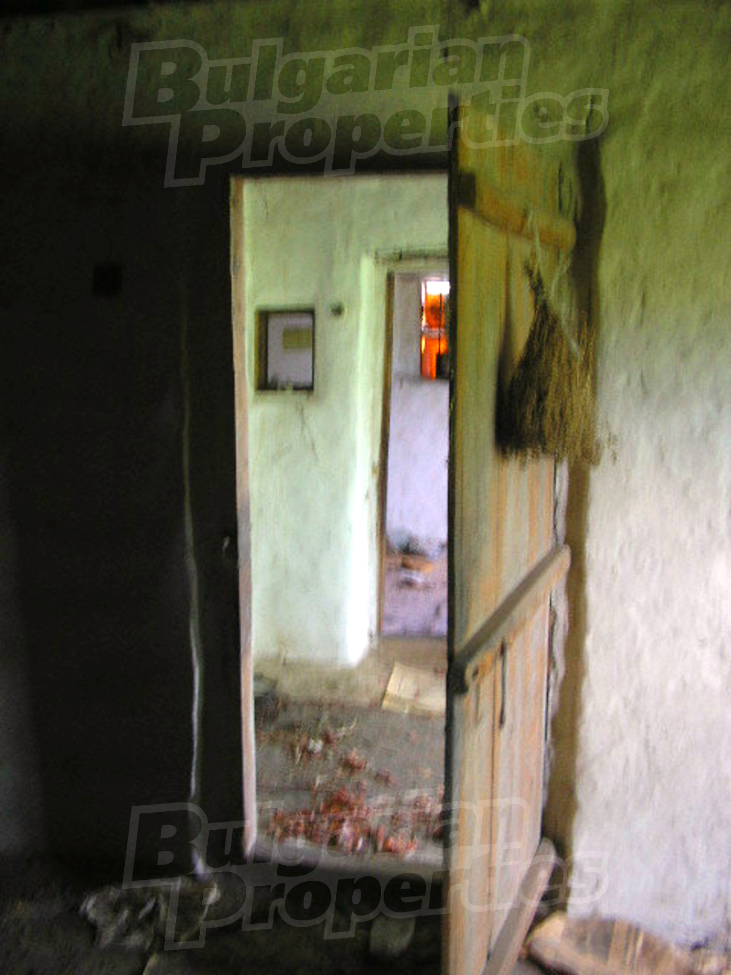 Gallery Picture 15