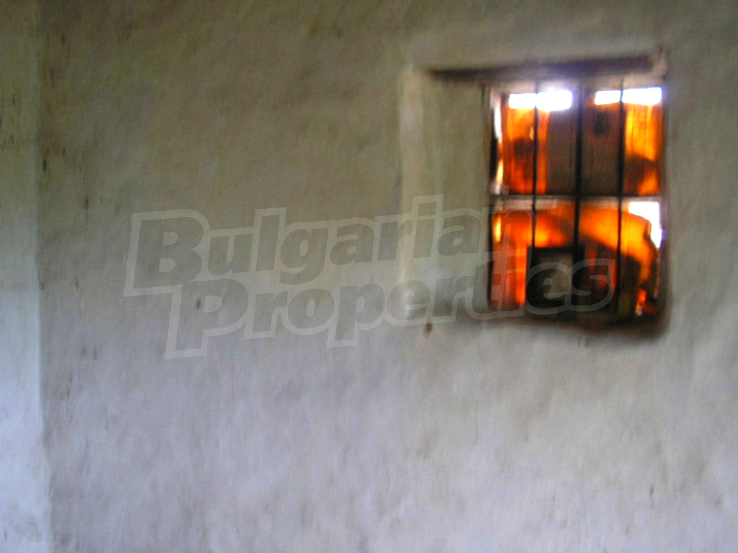 Gallery Picture 6
