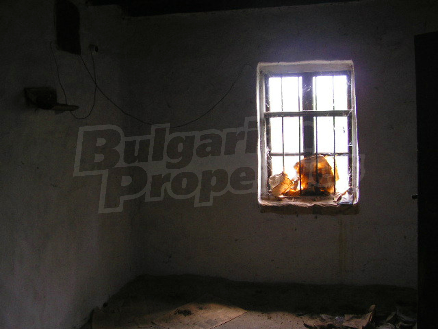 Gallery Picture 7