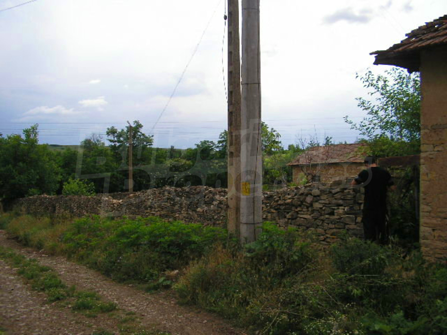 Gallery Picture 8
