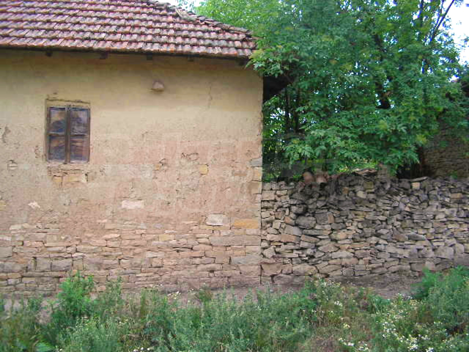 Gallery Picture 9