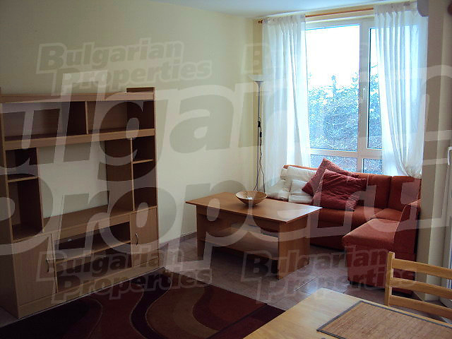 Gallery Picture 11