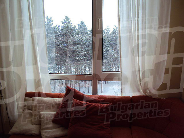 Gallery Picture 13