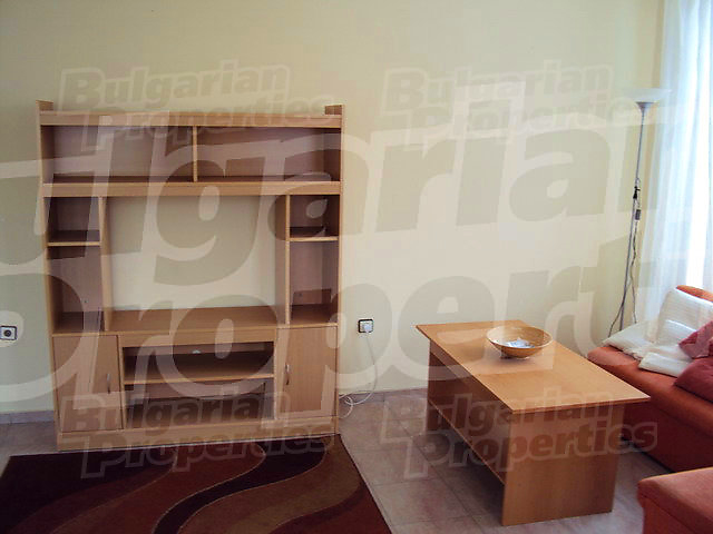 Gallery Picture 17