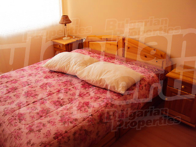 Gallery Picture 26