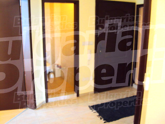 Gallery Picture 33