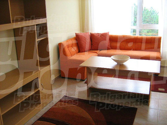 Gallery Picture 6