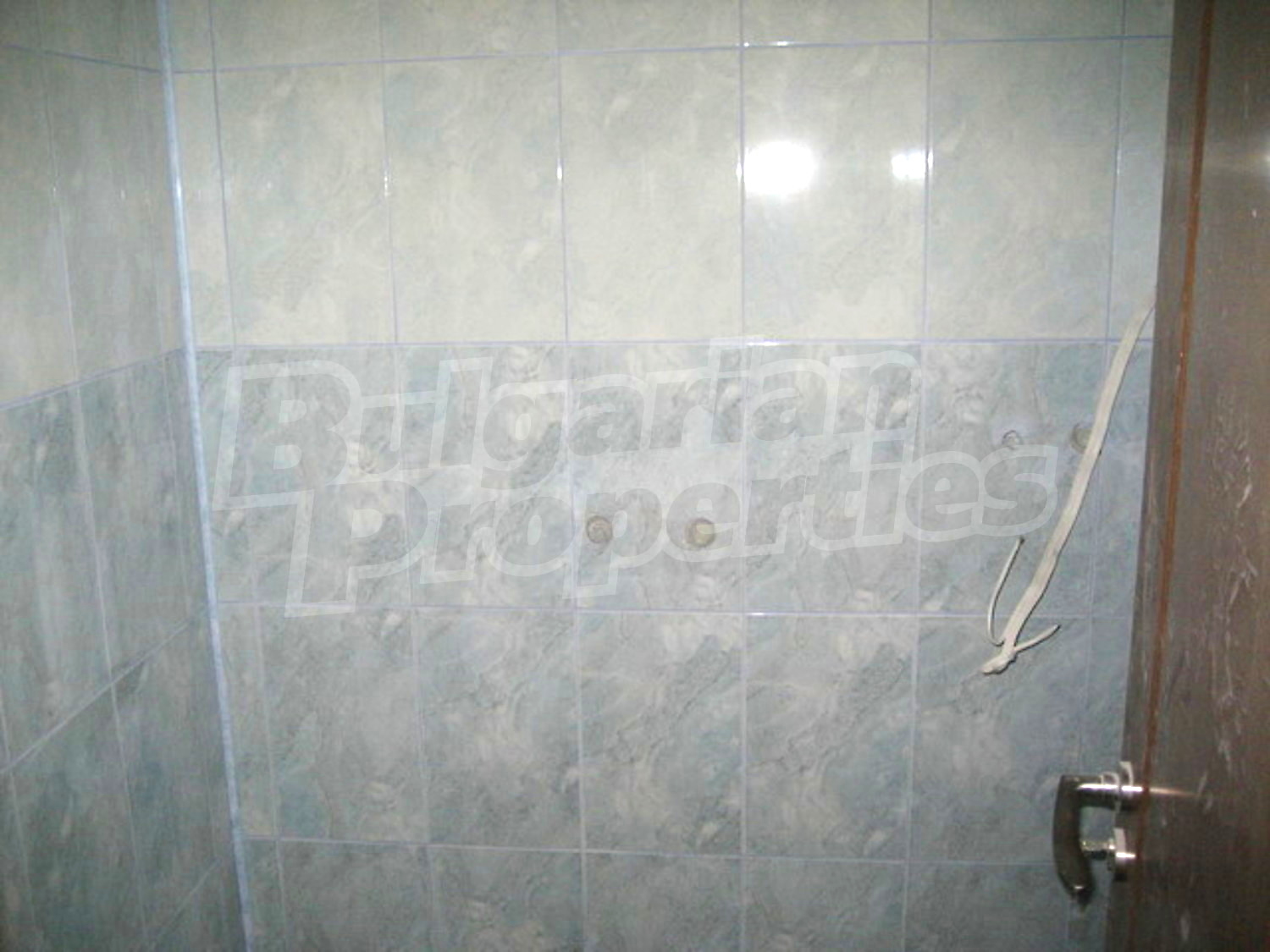 Gallery Picture 18