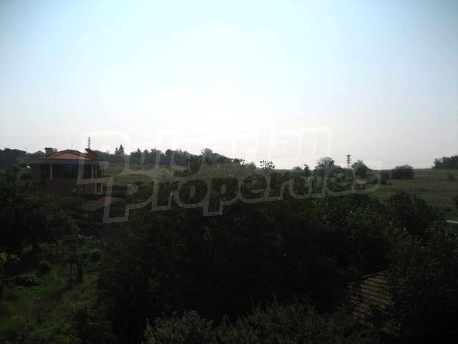 Gallery Picture 29