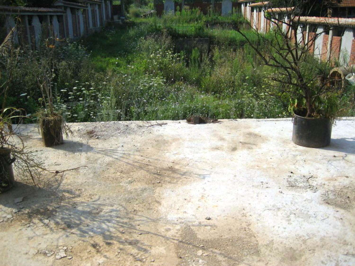 Gallery Picture 9